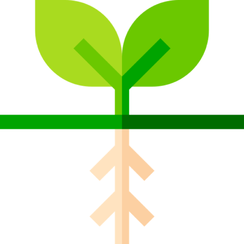 Treat the Root Cause