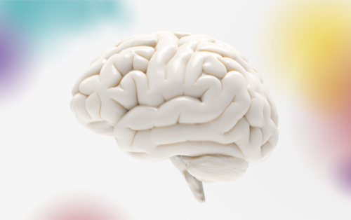 Neurofeedback: How to boost children’s academic performances?